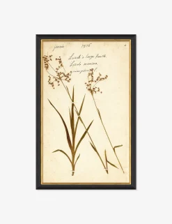 Herbarium E Wall Art