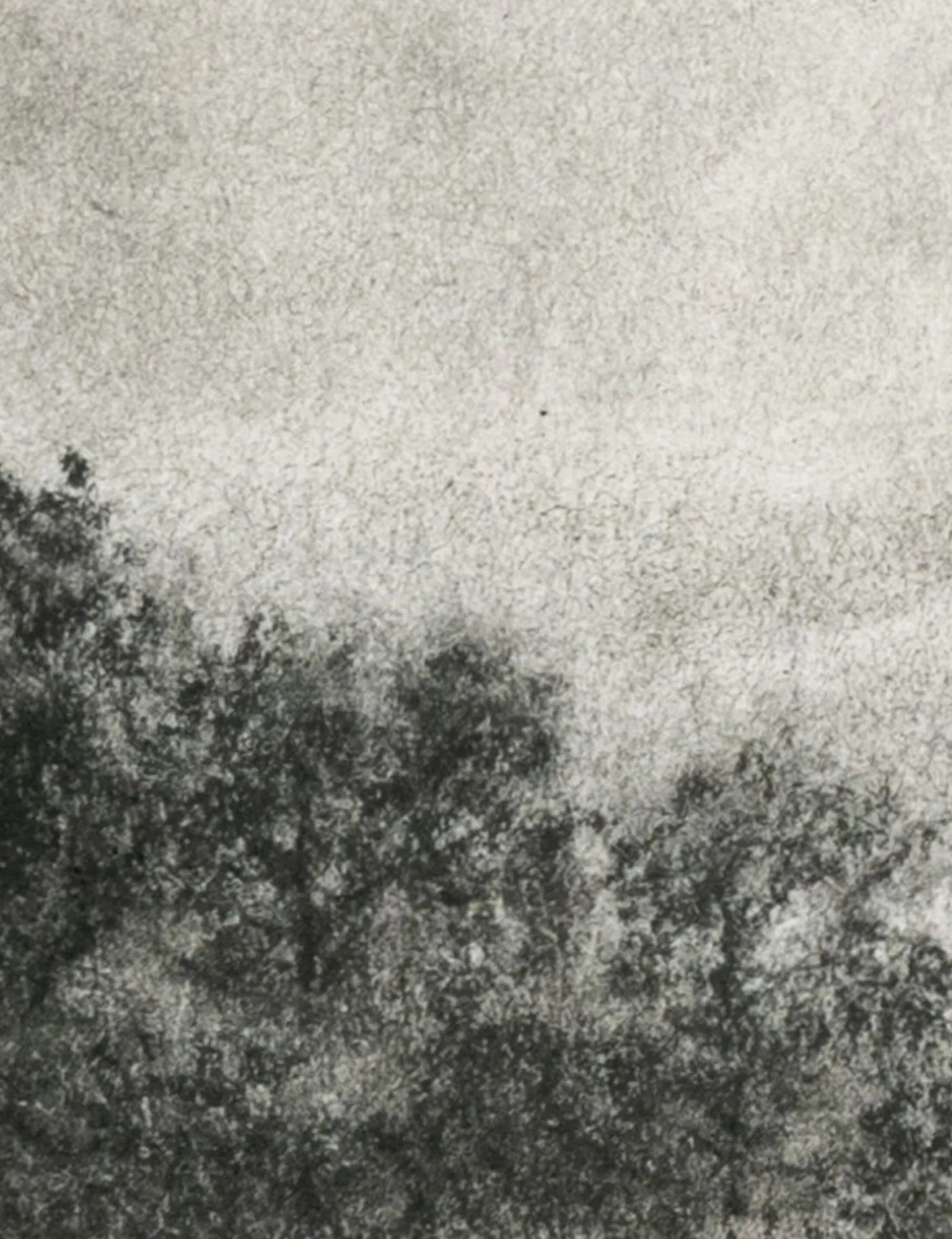 Hill Country Study I Wall Art by Aileen Fitzgerald