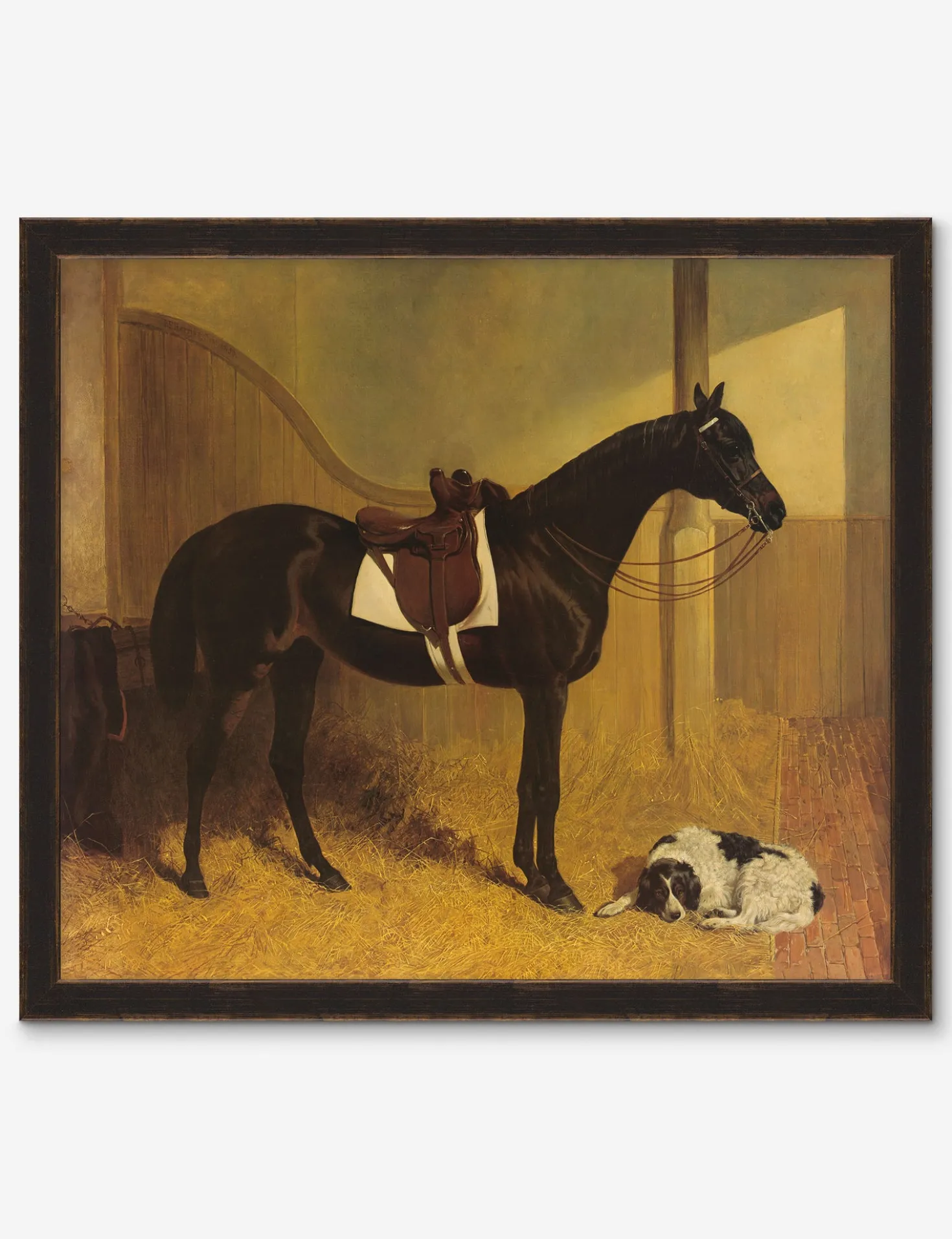Horse I Wall Art by Heidi Caillier