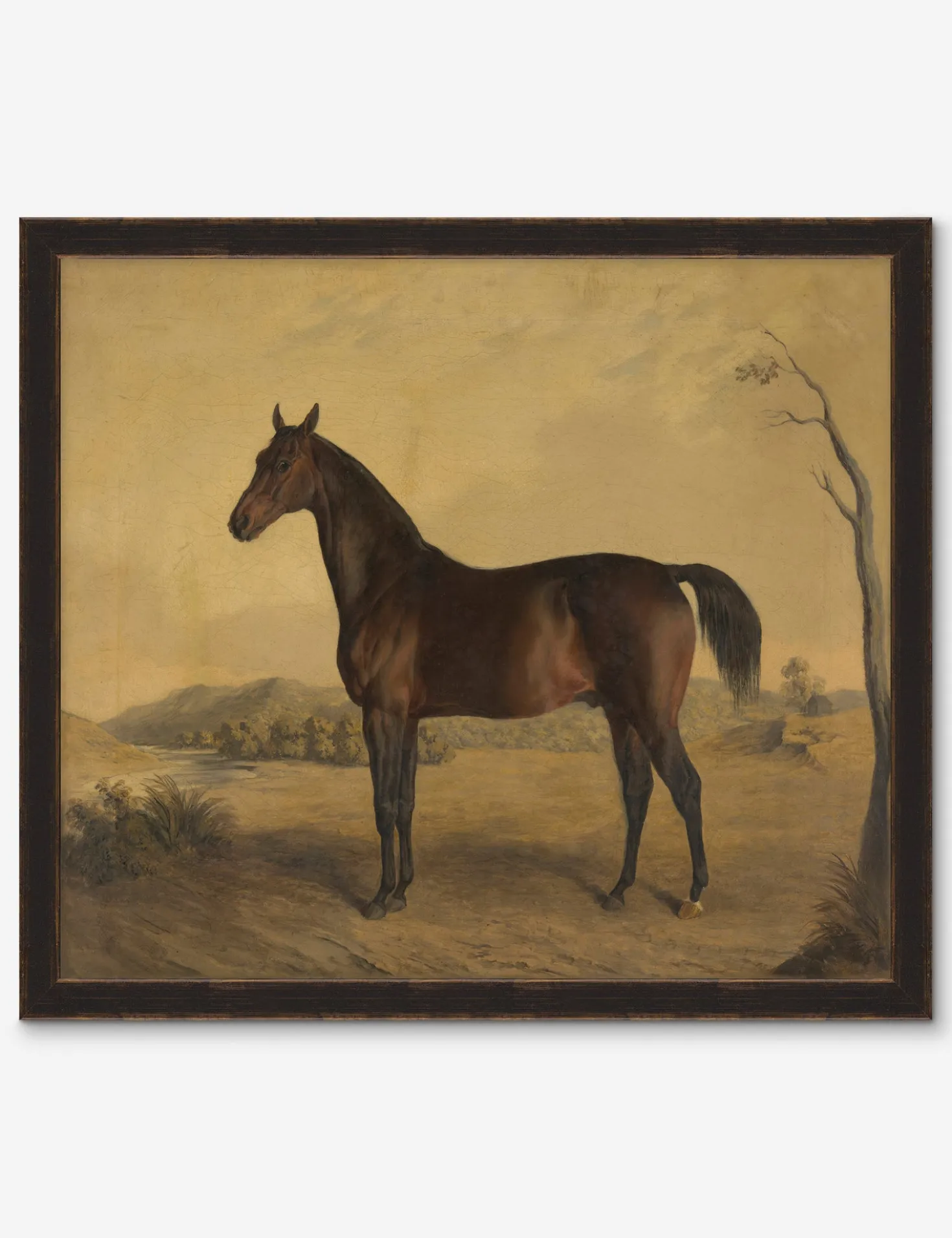 Horse II Wall Art by Heidi Caillier