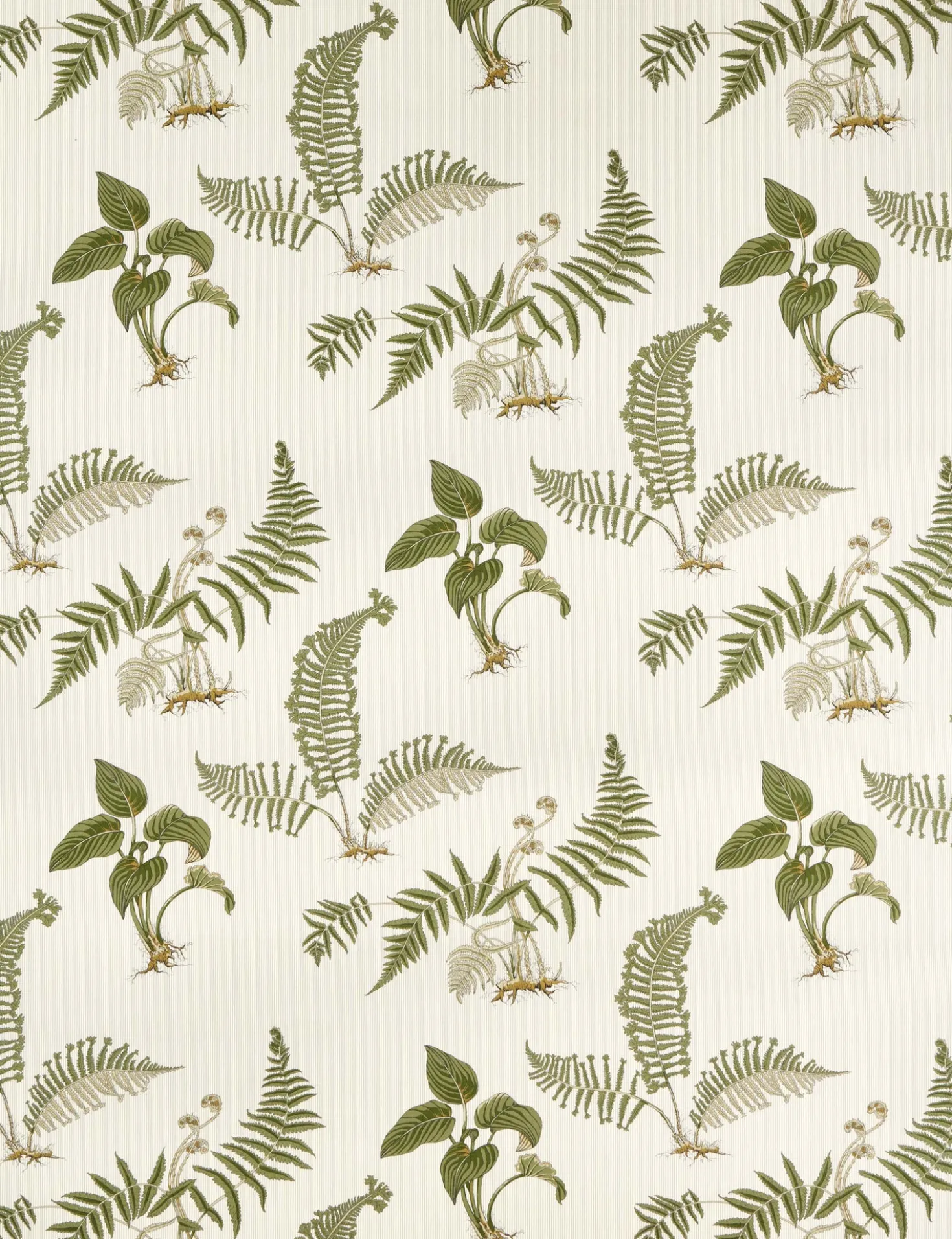 Hosta & Fern Fabric by Sanderson