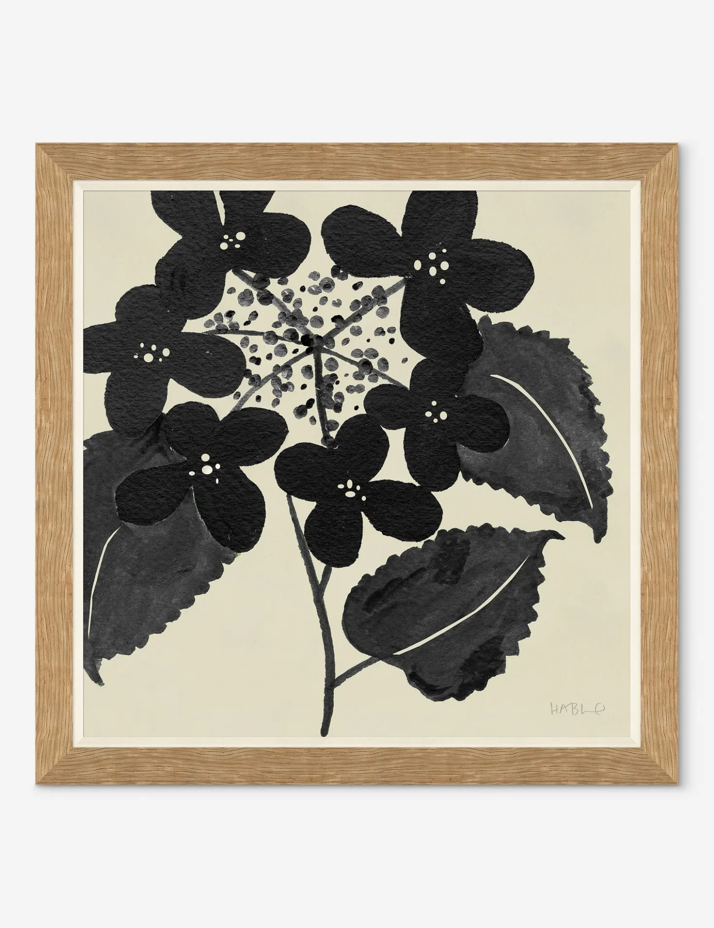 Hydrangea By Susan Hable