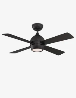 Indi Ceiling Fan + Light