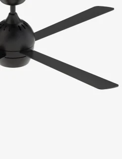 Indi Ceiling Fan + Light