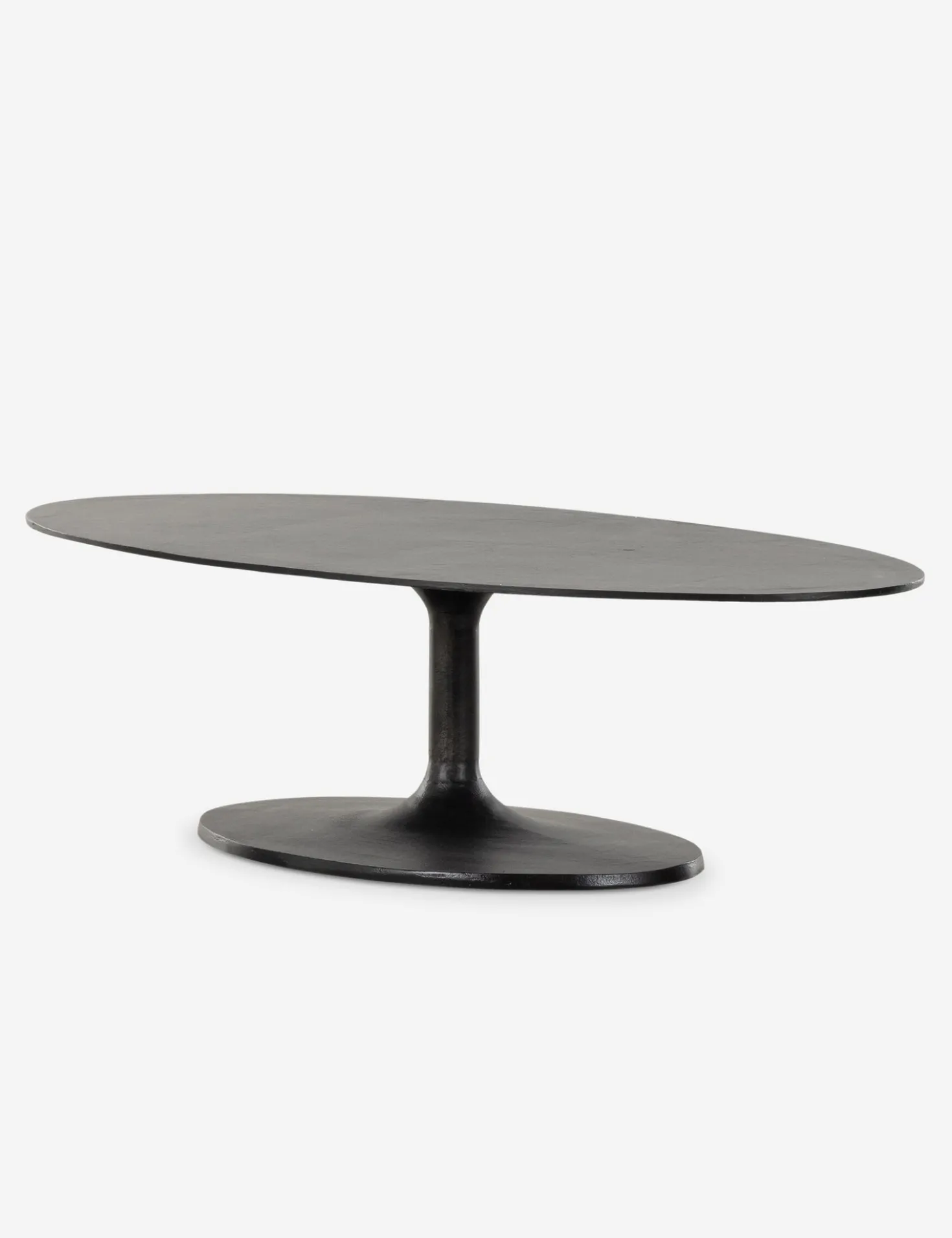 Inga Indoor / Outdoor Oval Coffee Table