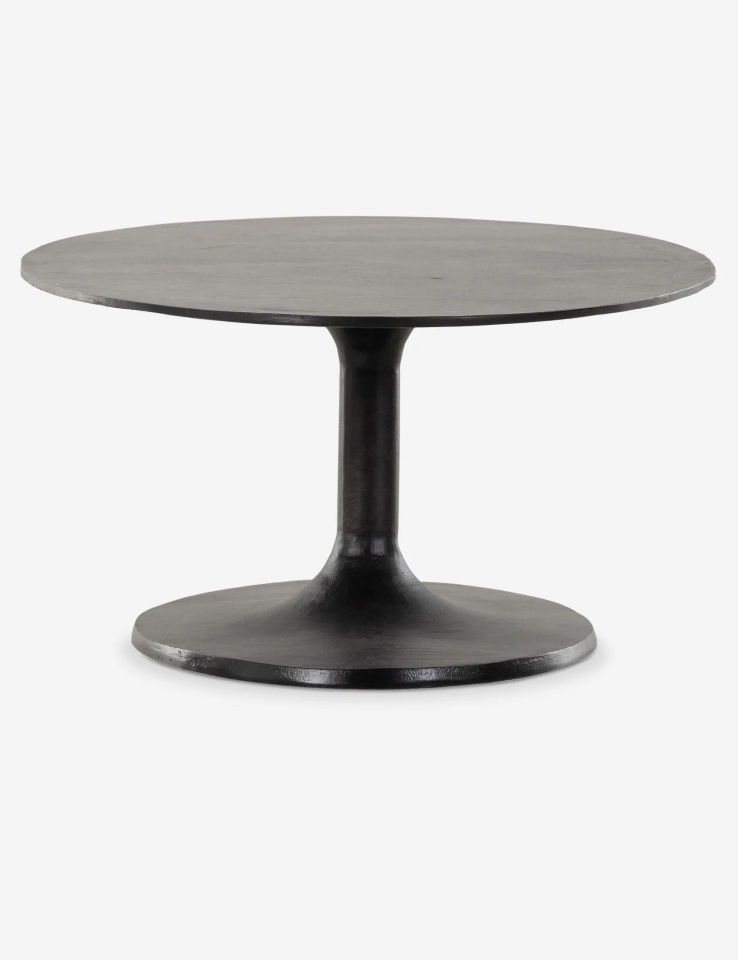 Inga Indoor / Outdoor Oval Coffee Table