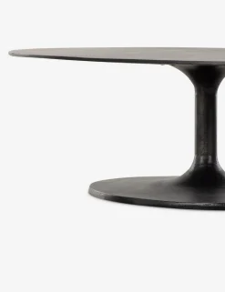 Inga Indoor / Outdoor Oval Coffee Table