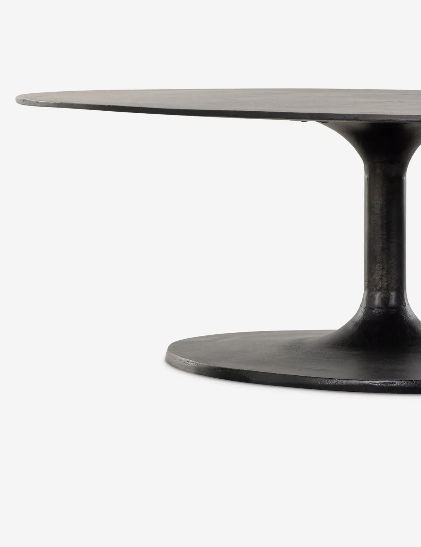 Inga Indoor / Outdoor Oval Coffee Table