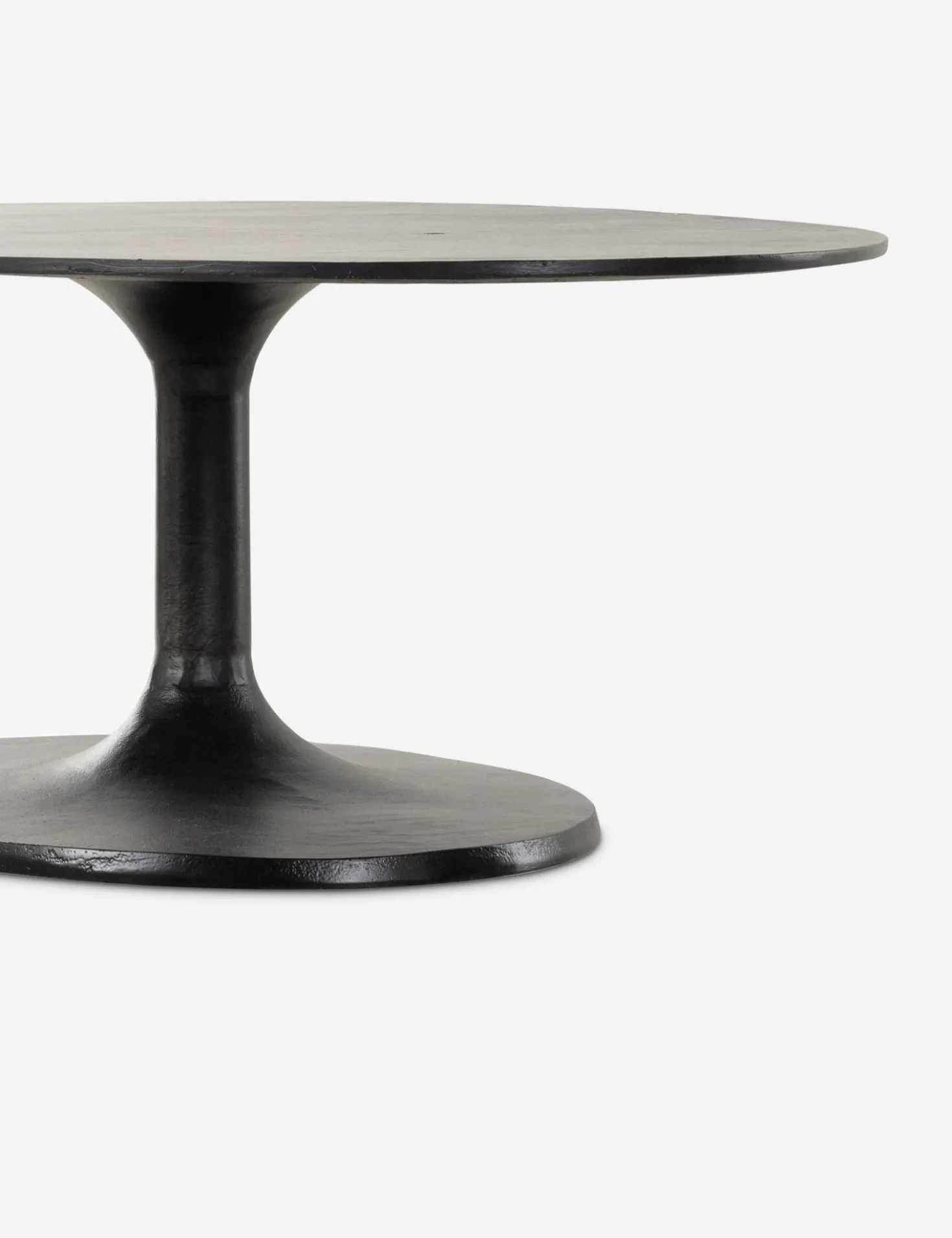 Inga Indoor / Outdoor Oval Coffee Table