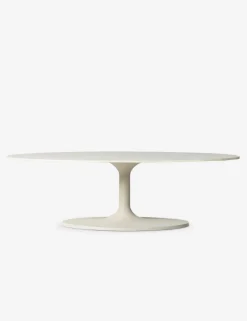 Inga Indoor / Outdoor Oval Coffee Table