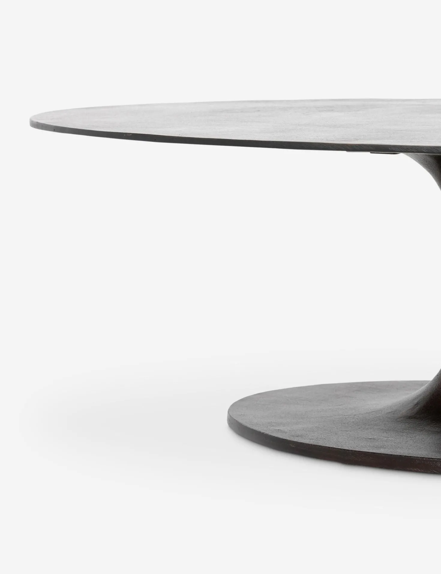Inga Indoor / Outdoor Oval Coffee Table