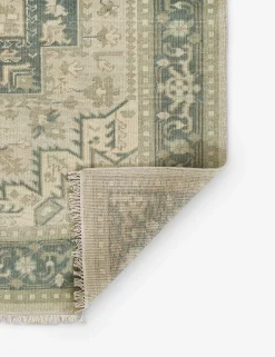 Isandro Hand-Knotted Wool Rug
