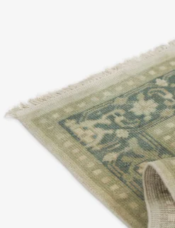 Isandro Hand-Knotted Wool Rug