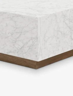 Janus Coffee Table