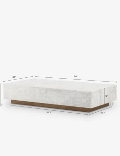 Janus Coffee Table
