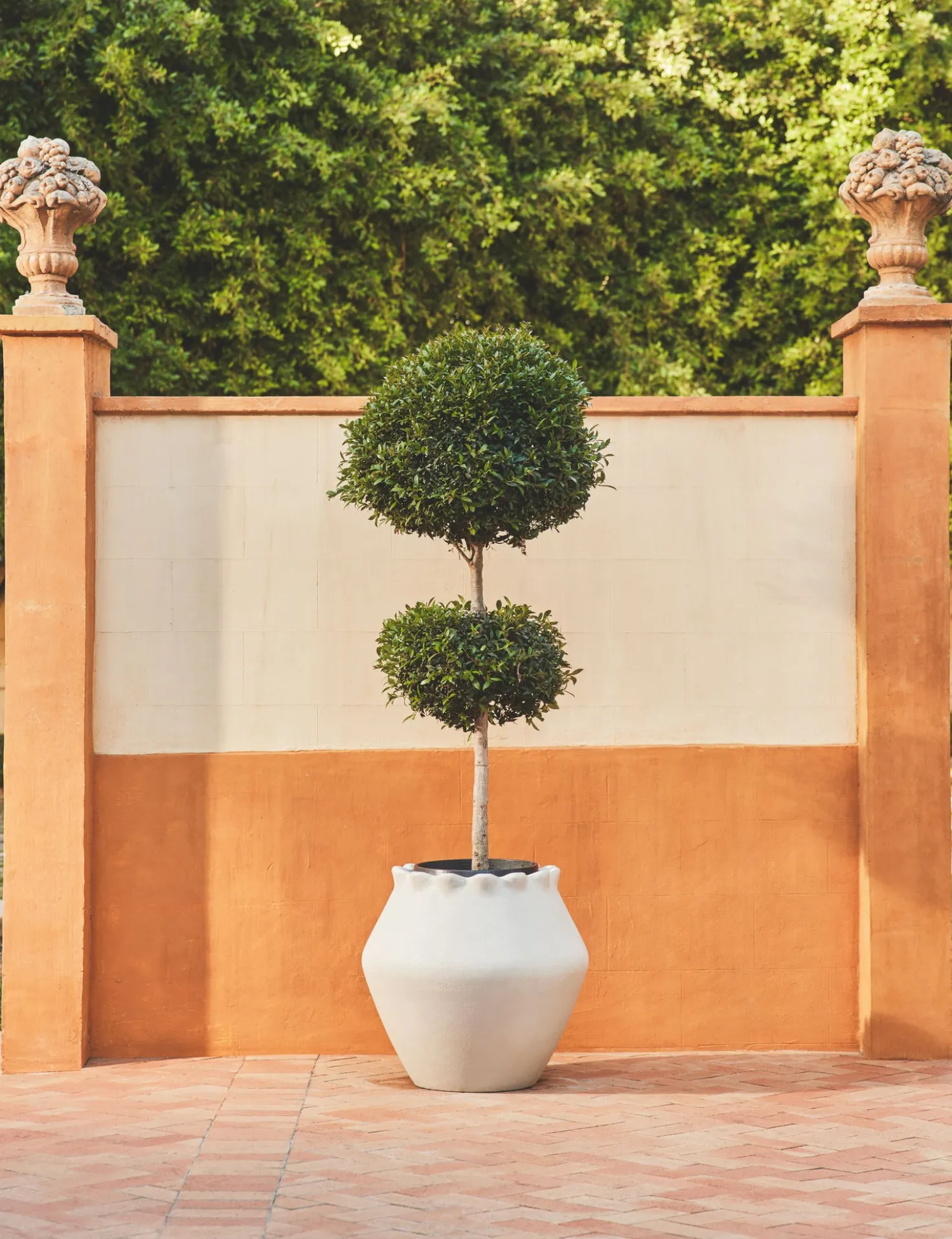 Jaziel Indoor/Outdoor Planter