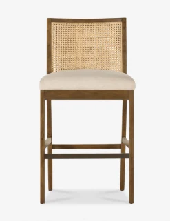 Jeni Bar and Counter Stool