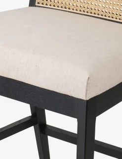 Jeni Bar and Counter Stool