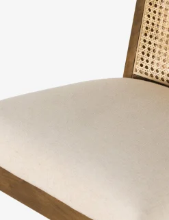 Jeni Bar and Counter Stool