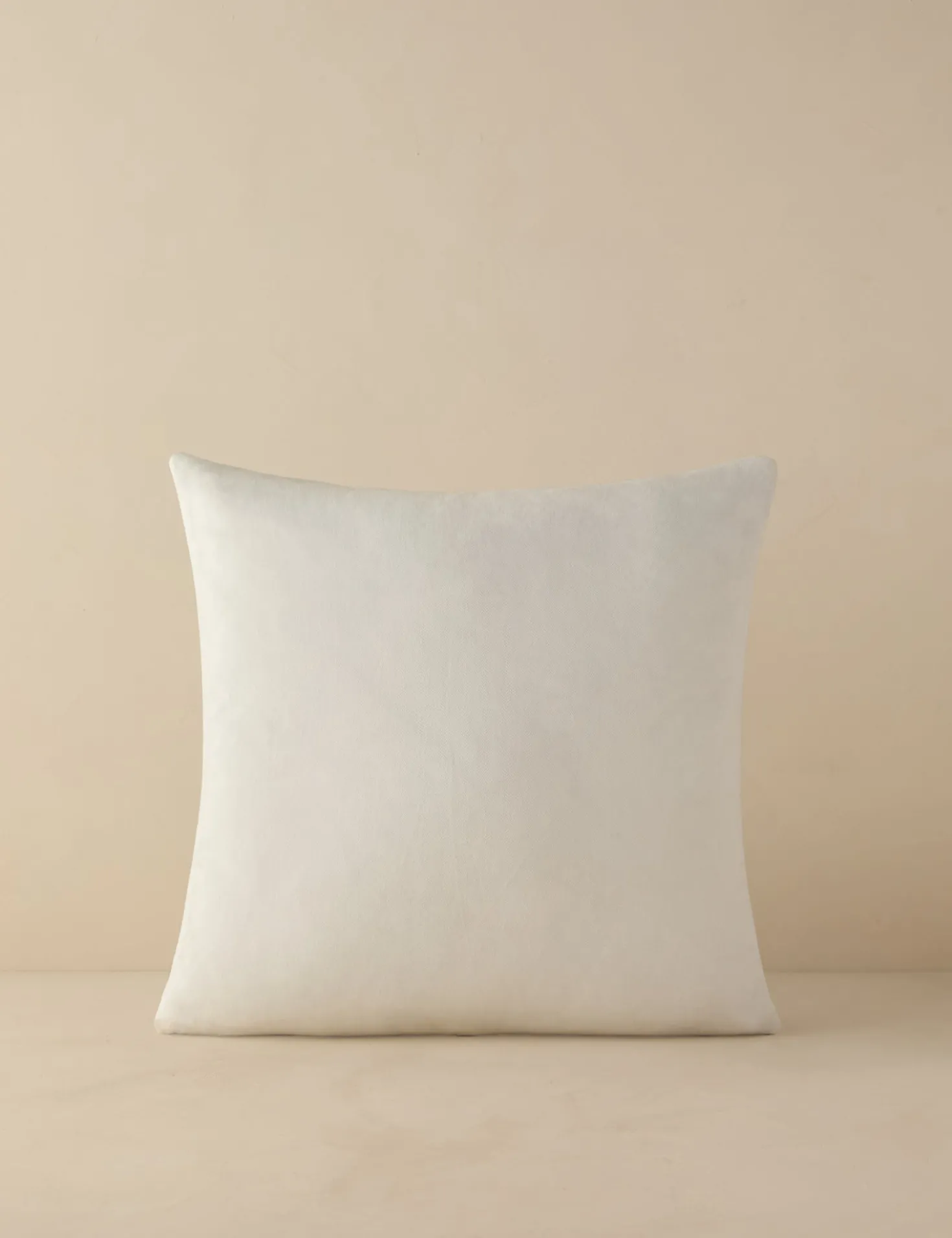 Jessa Indoor / Outdoor Pillow
