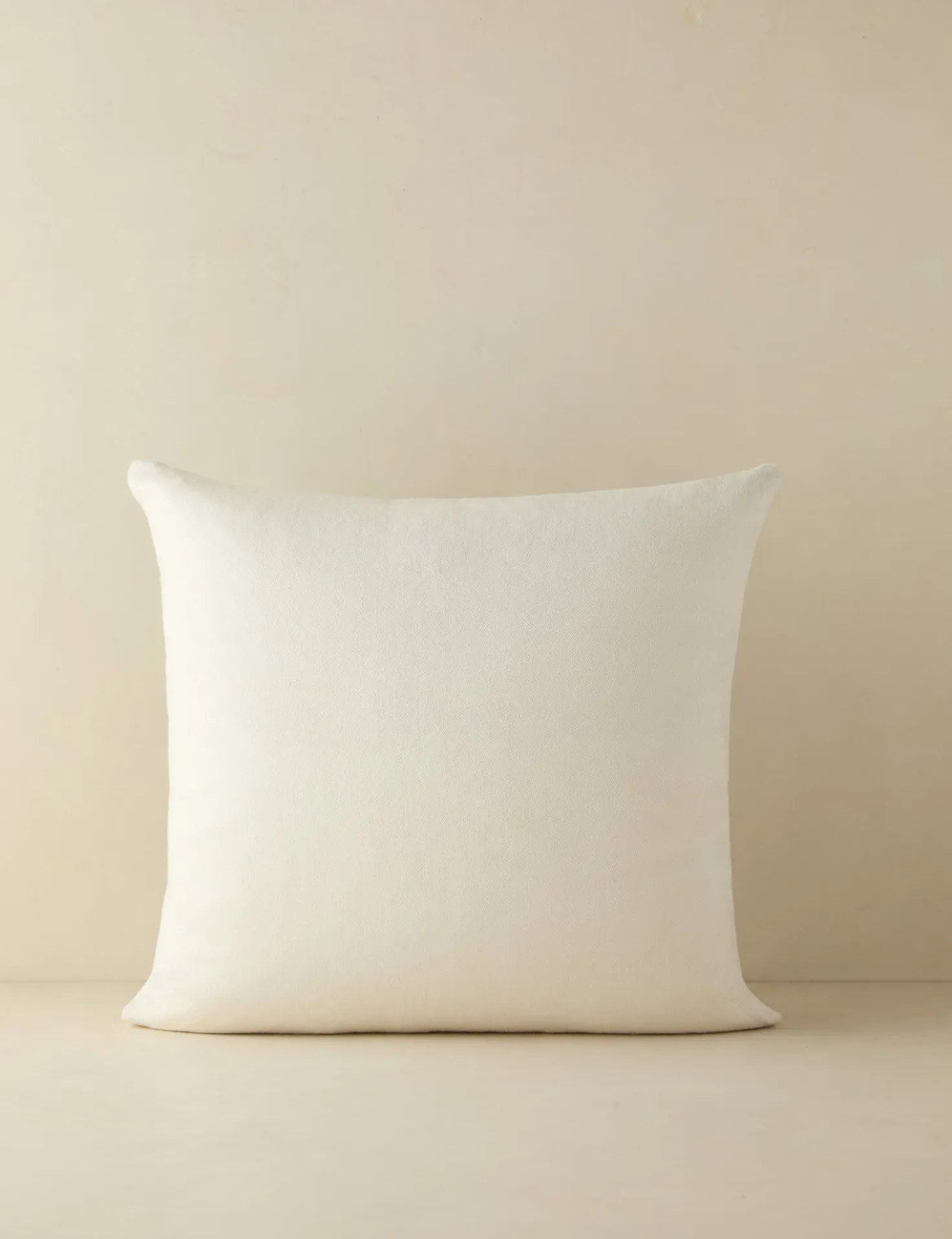 Jessa Indoor / Outdoor Pillow