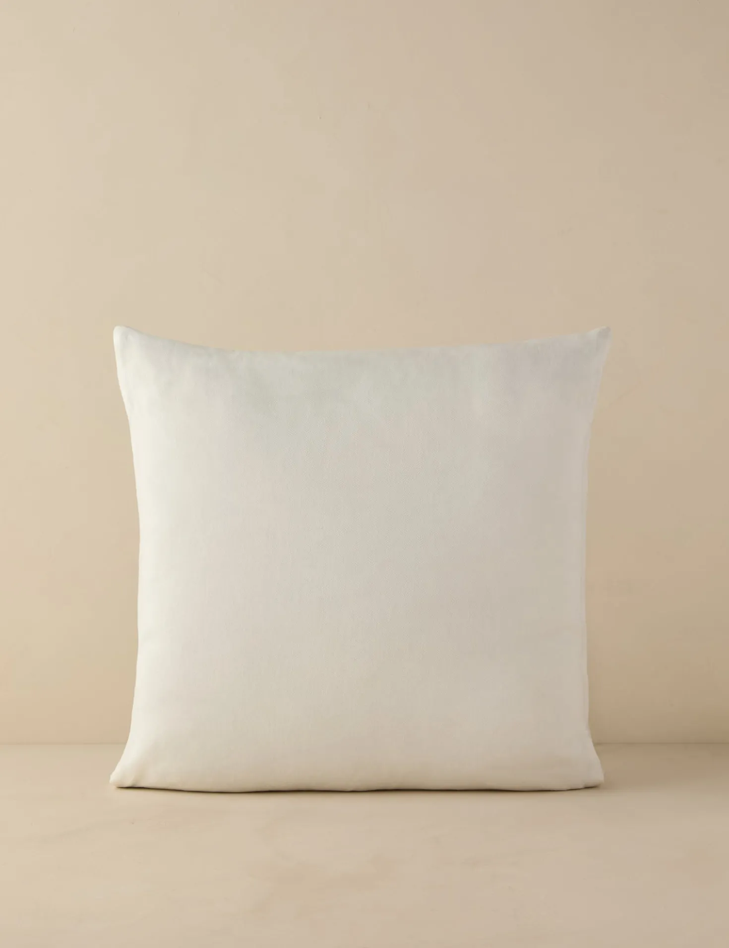 Jessa Indoor / Outdoor Pillow