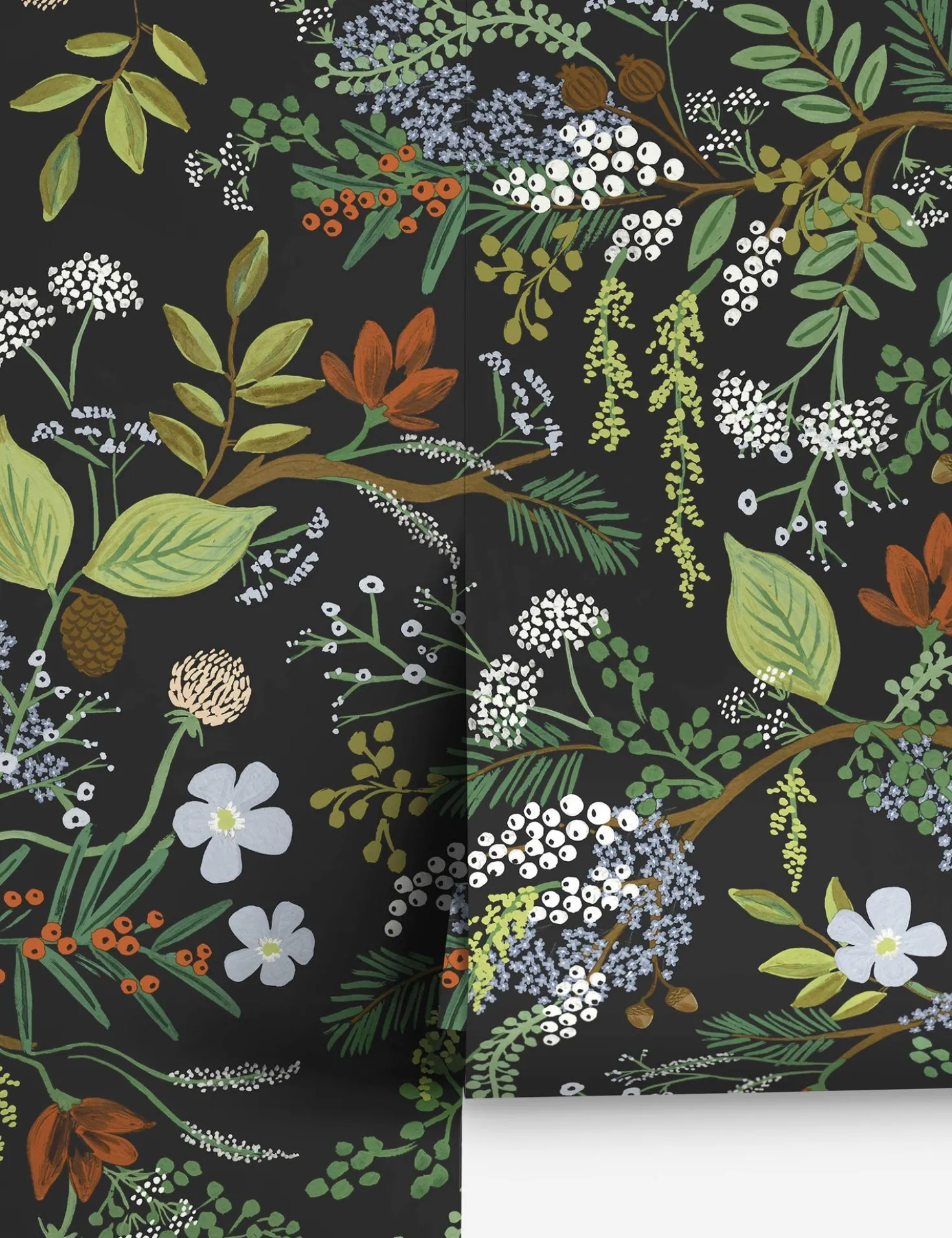 Juniper Forest Premium Peel + Stick Wallpaper by Rifle Paper Co.