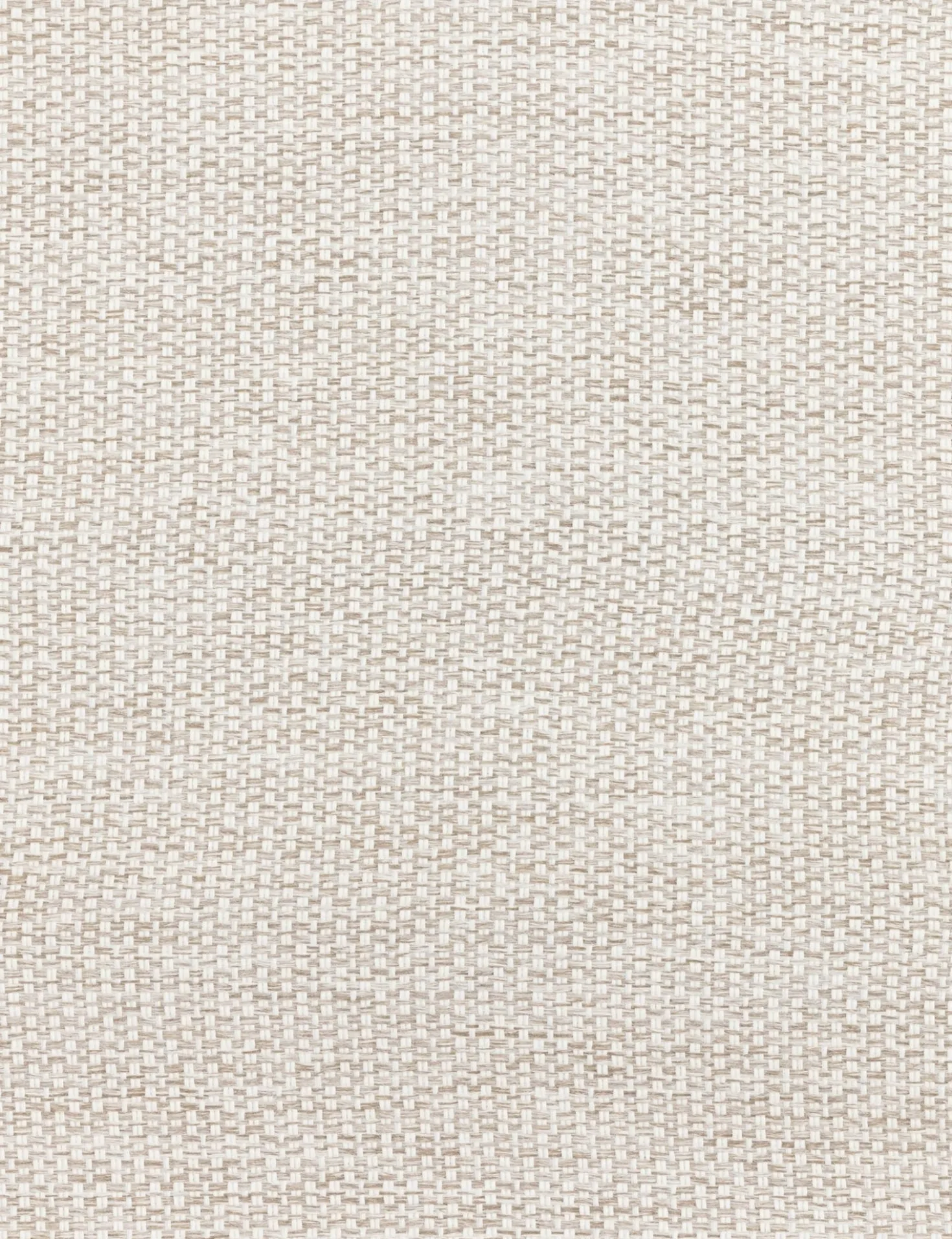 Kaitlin Indoor / Outdoor Dining Chair