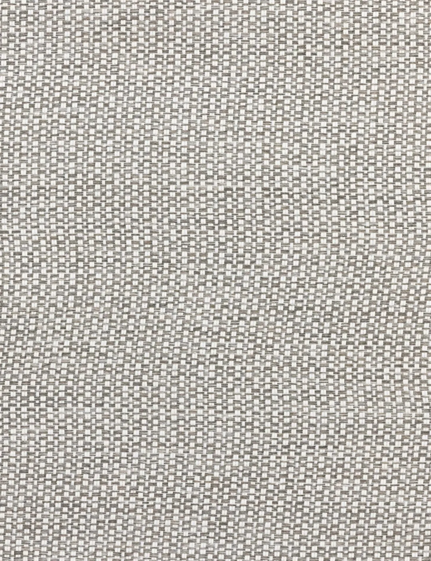 Kaitlin Indoor / Outdoor Dining Chair