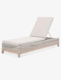 Kinnda Indoor / Outdoor Chaise Lounge