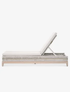 Kinnda Indoor / Outdoor Chaise Lounge