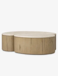 Lazaro Nesting Coffee Table (Set of 2)
