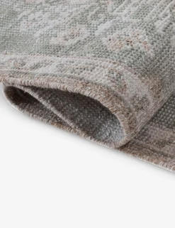 Leslie Hand-Knotted Indoor / Outdoor Rug