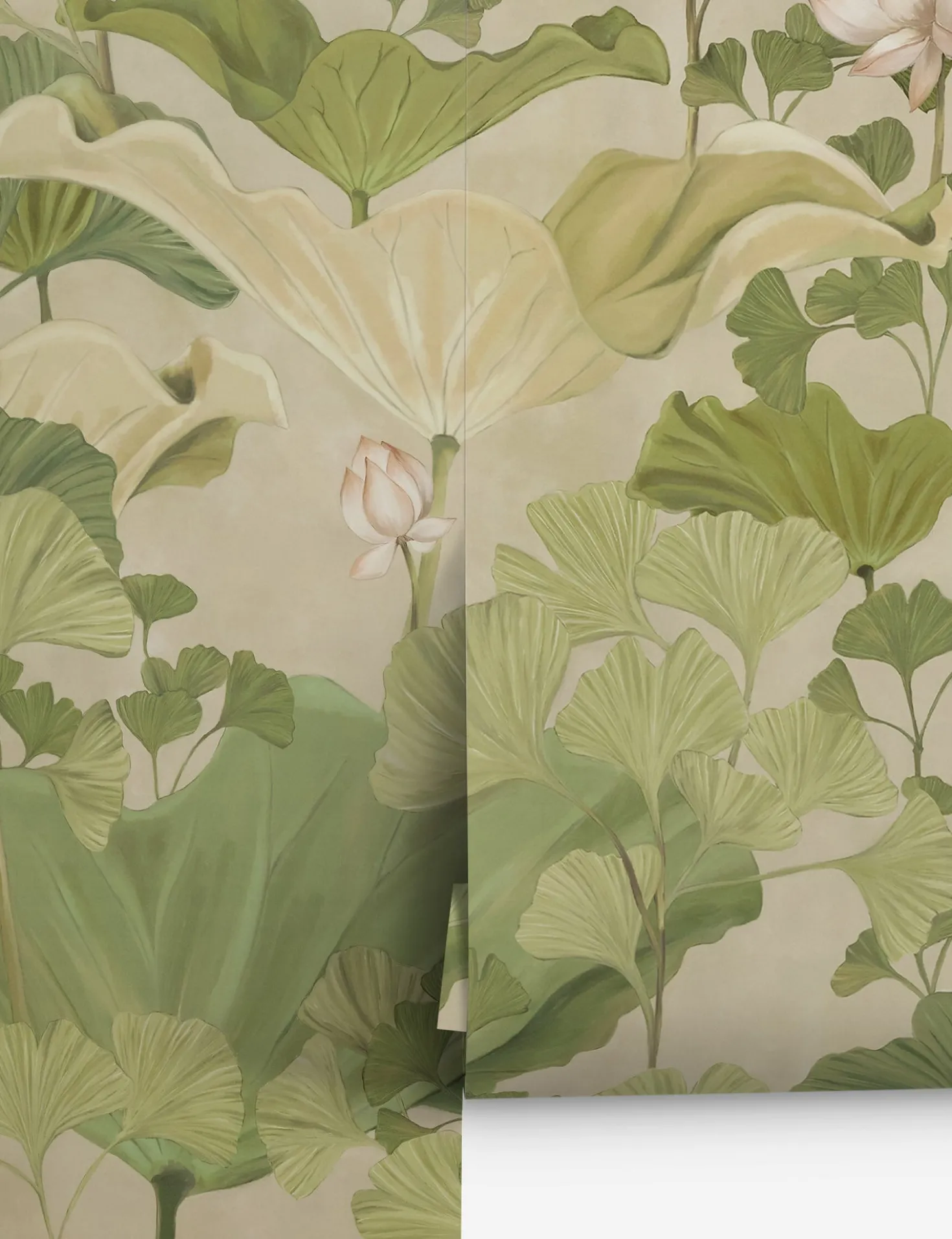 Lotus Wallpaper by Aimee Song
