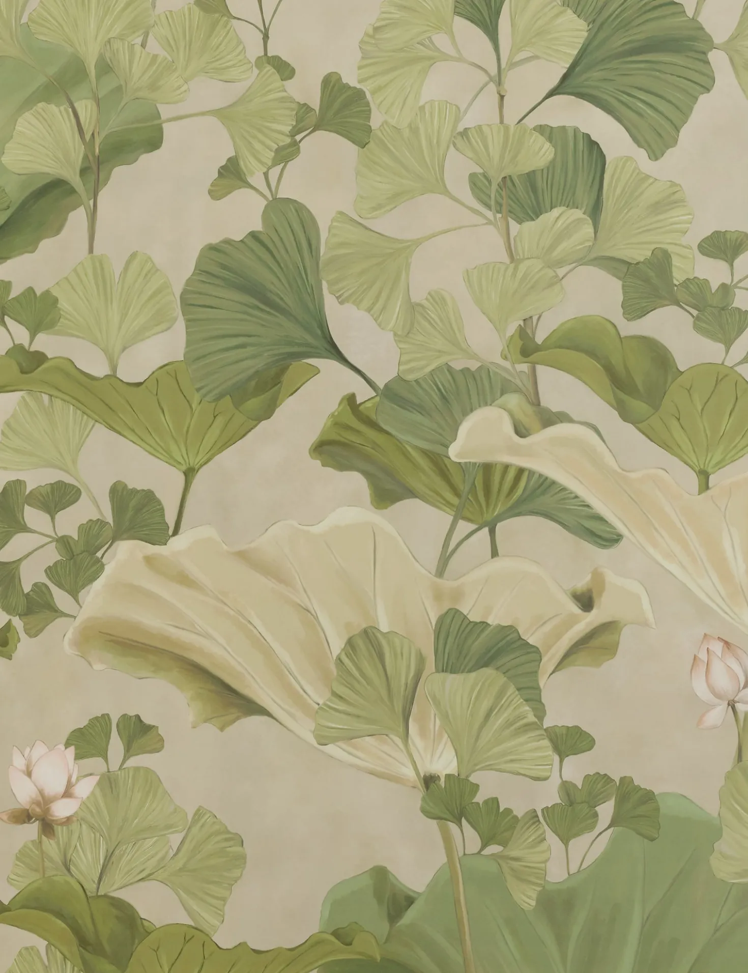 Lotus Wallpaper by Aimee Song