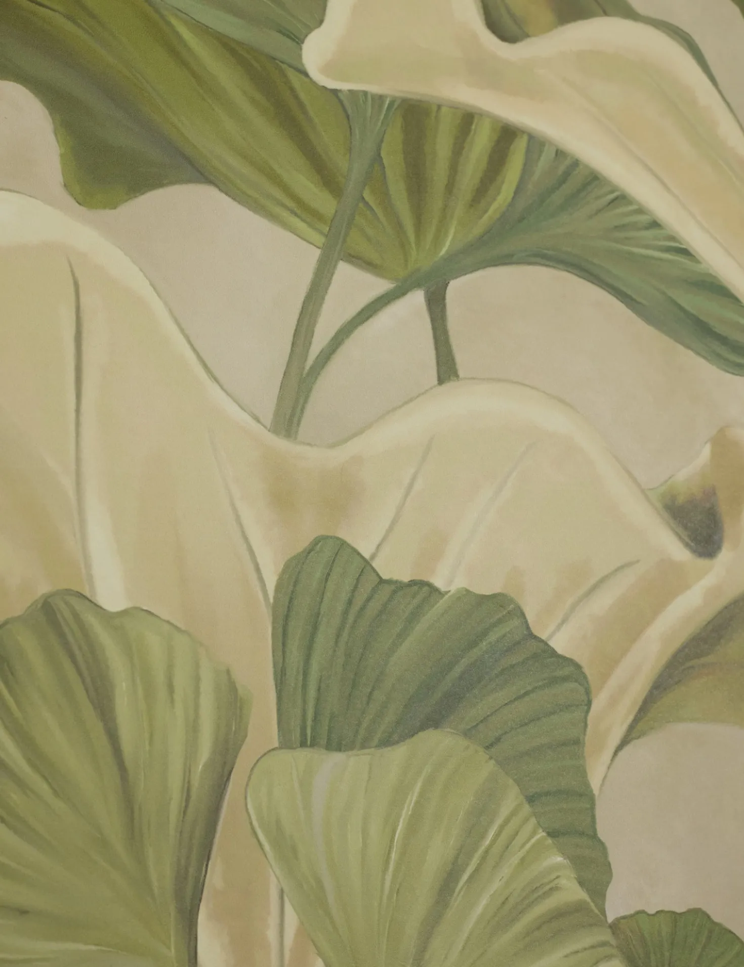 Lotus Wallpaper by Aimee Song