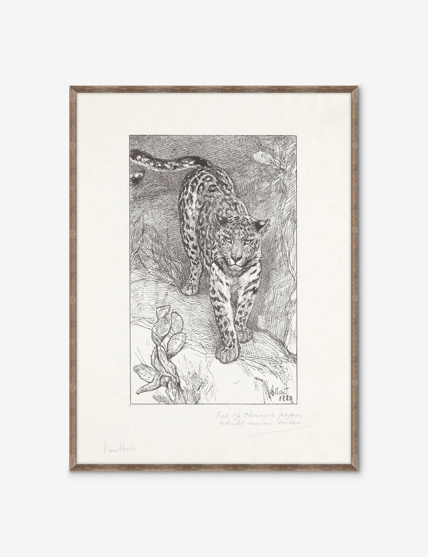 Luipaard Wall Art by Alex Zane