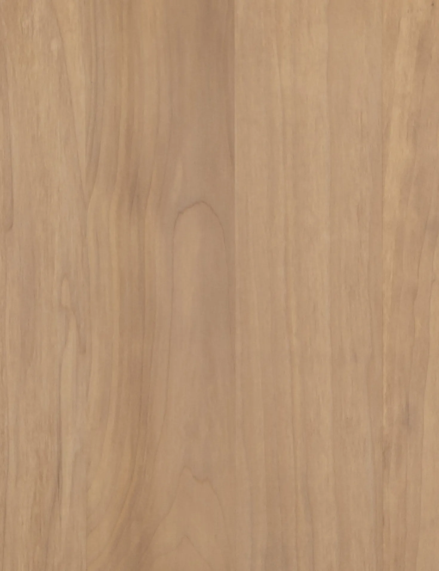 Maeve Media Console