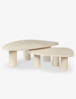 Mariano Nesting Coffee Table (Set of 2)