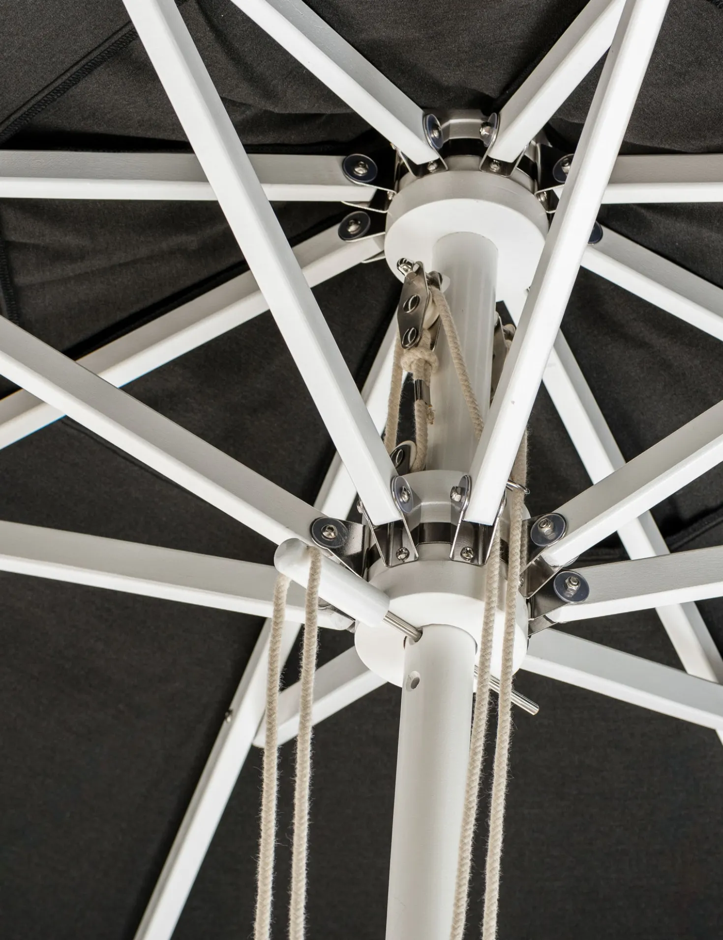 Market Umbrella by Business & Pleasure Co.