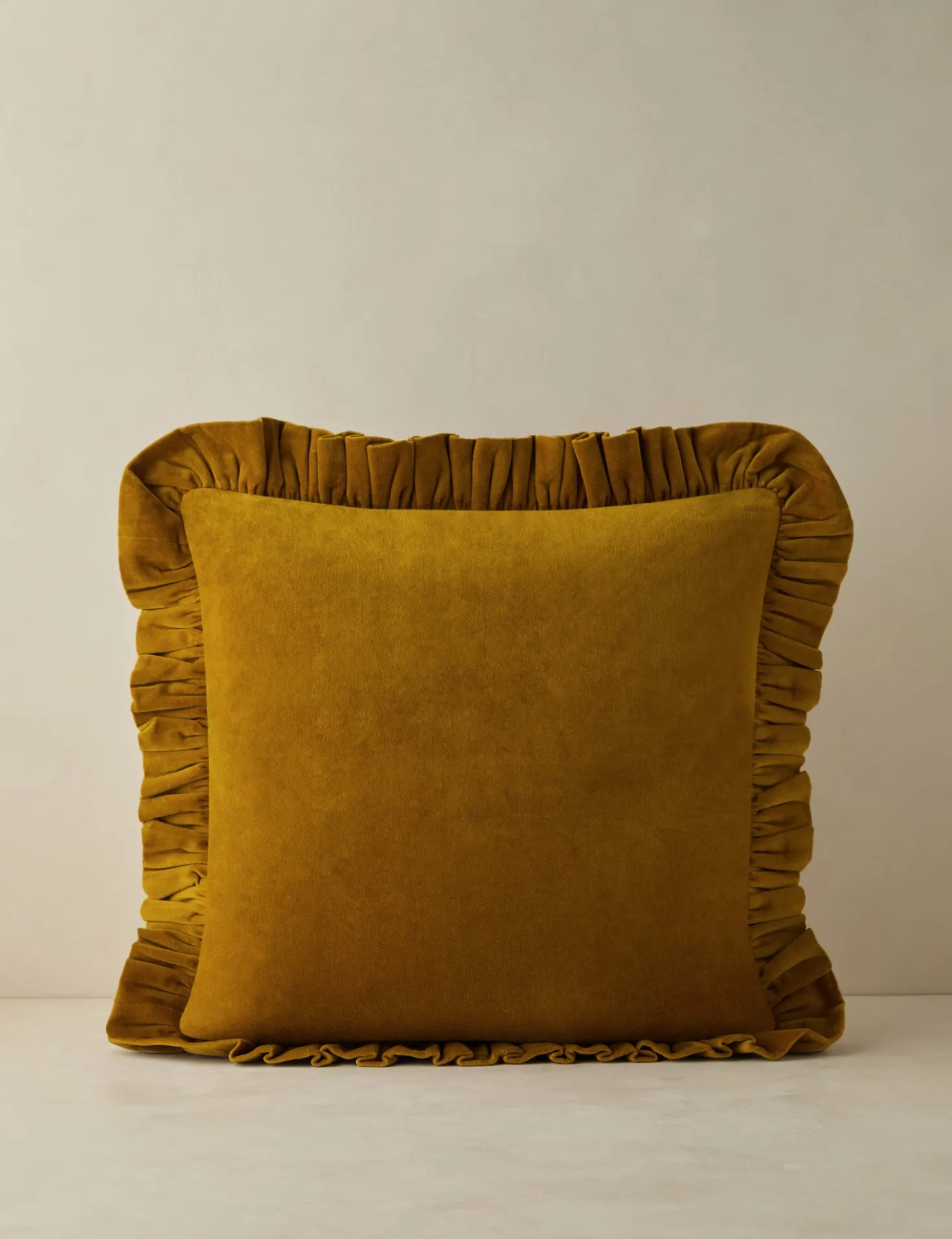 Mauree Velvet Pillow