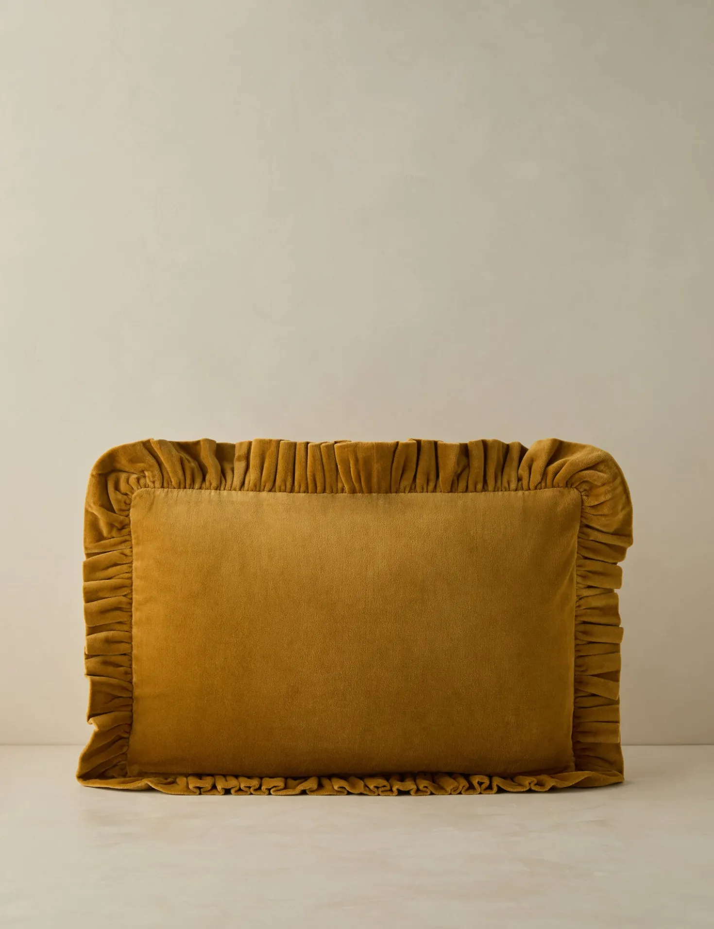 Mauree Velvet Pillow
