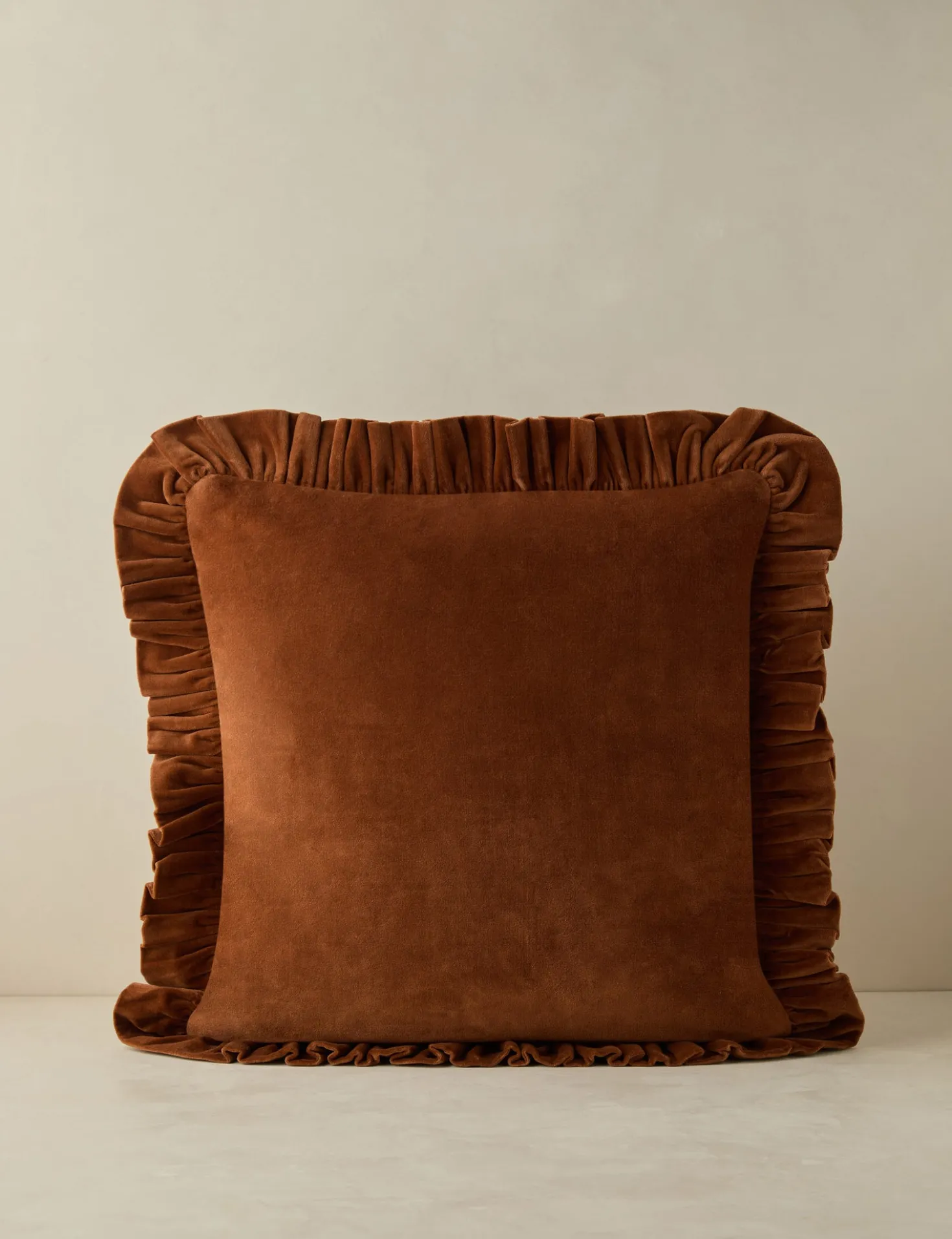 Mauree Velvet Pillow
