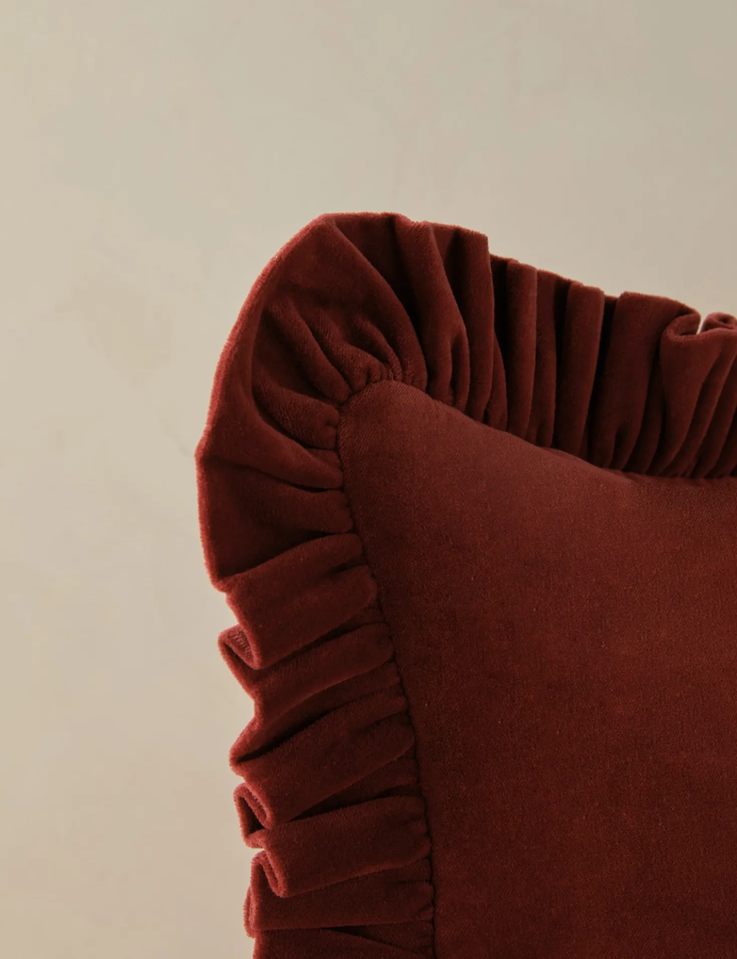 Mauree Velvet Pillow