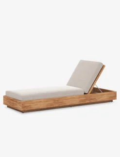 Minnette Indoor / Outdoor Chaise