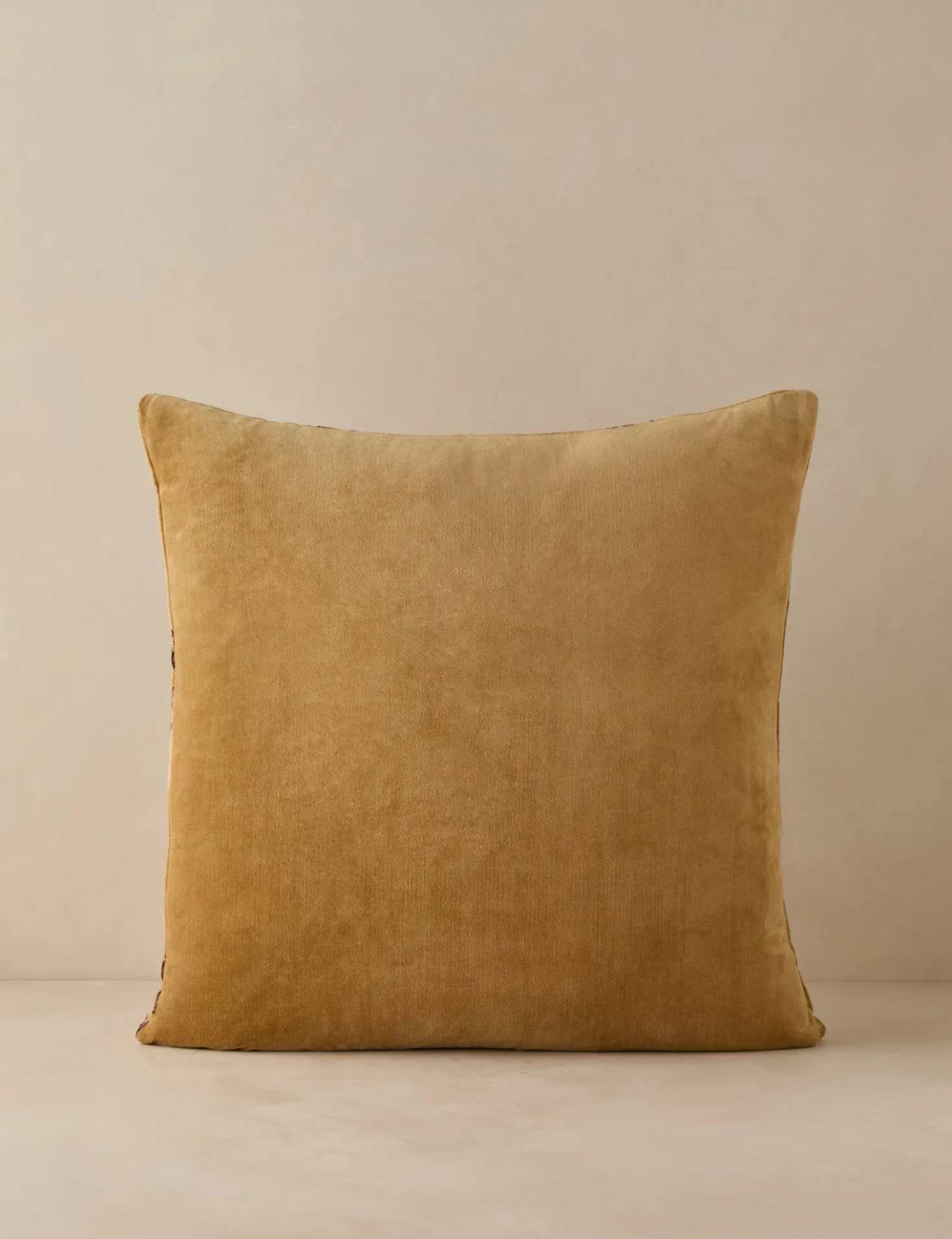 Montreal Velvet Pillow