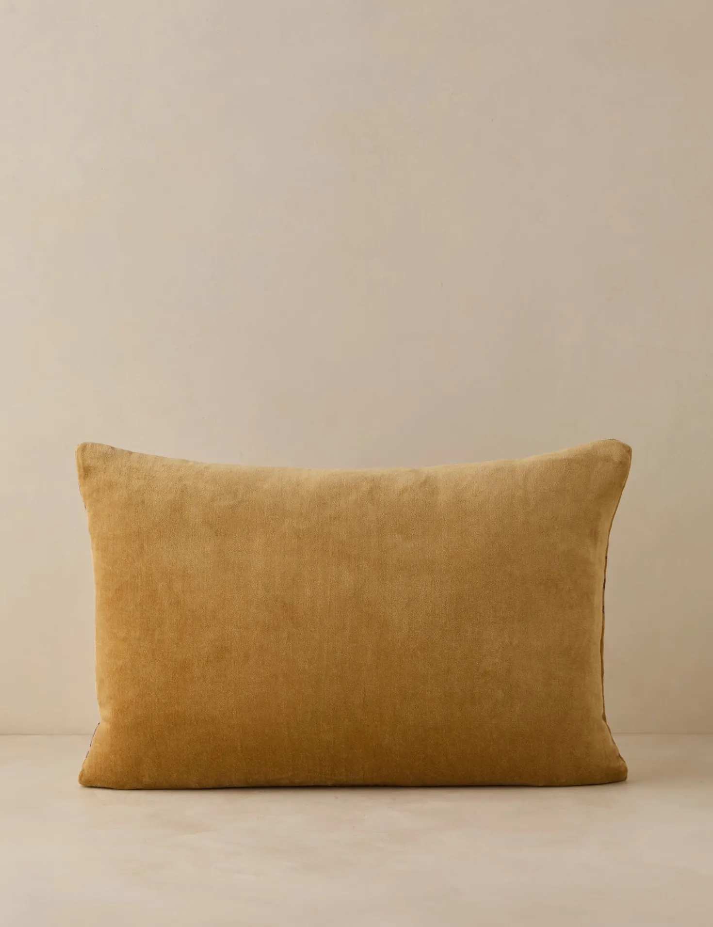 Montreal Velvet Pillow
