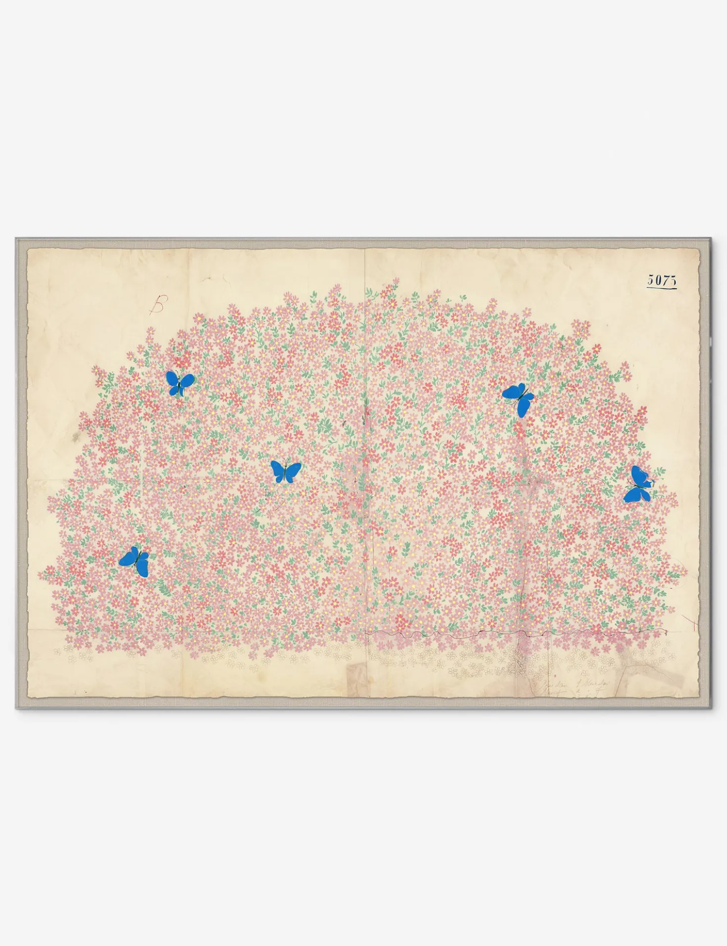 Myosotis Print by Paule Marrot