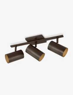 Newcomb Adjustable Vanity Light