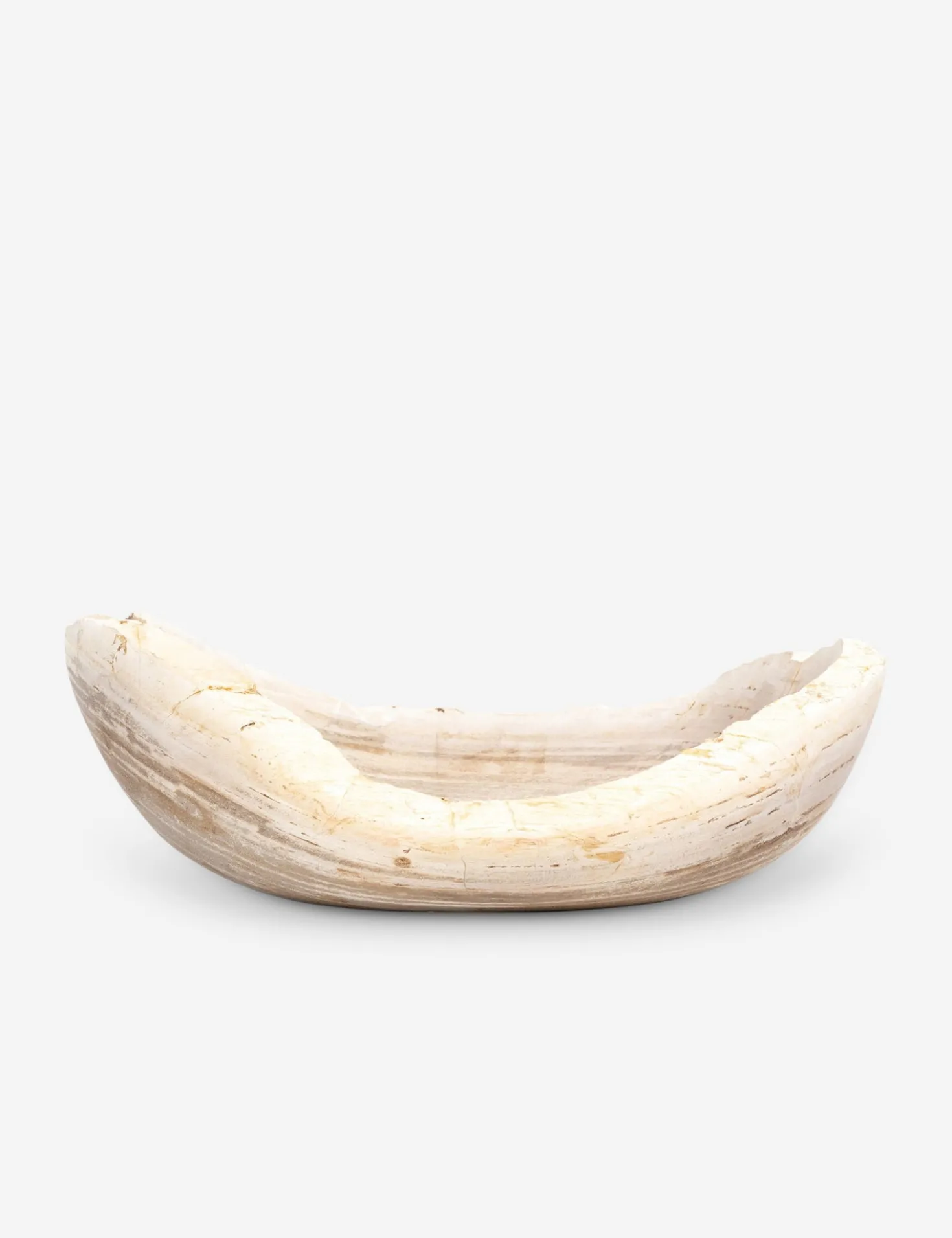 Noki Petrified Wood Bowl